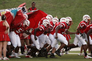 LeyuSports-CBA是否鼓励球队建立多元化的青年培养体系，cba青年队一般几岁